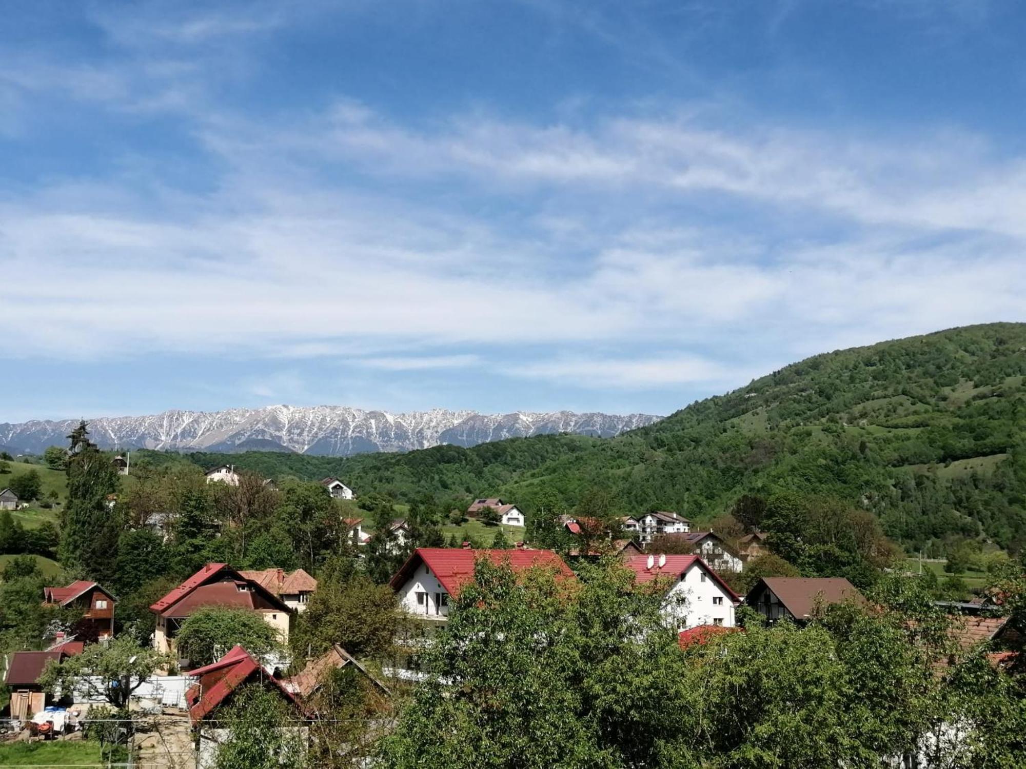 Vila Maria Bran Guest house